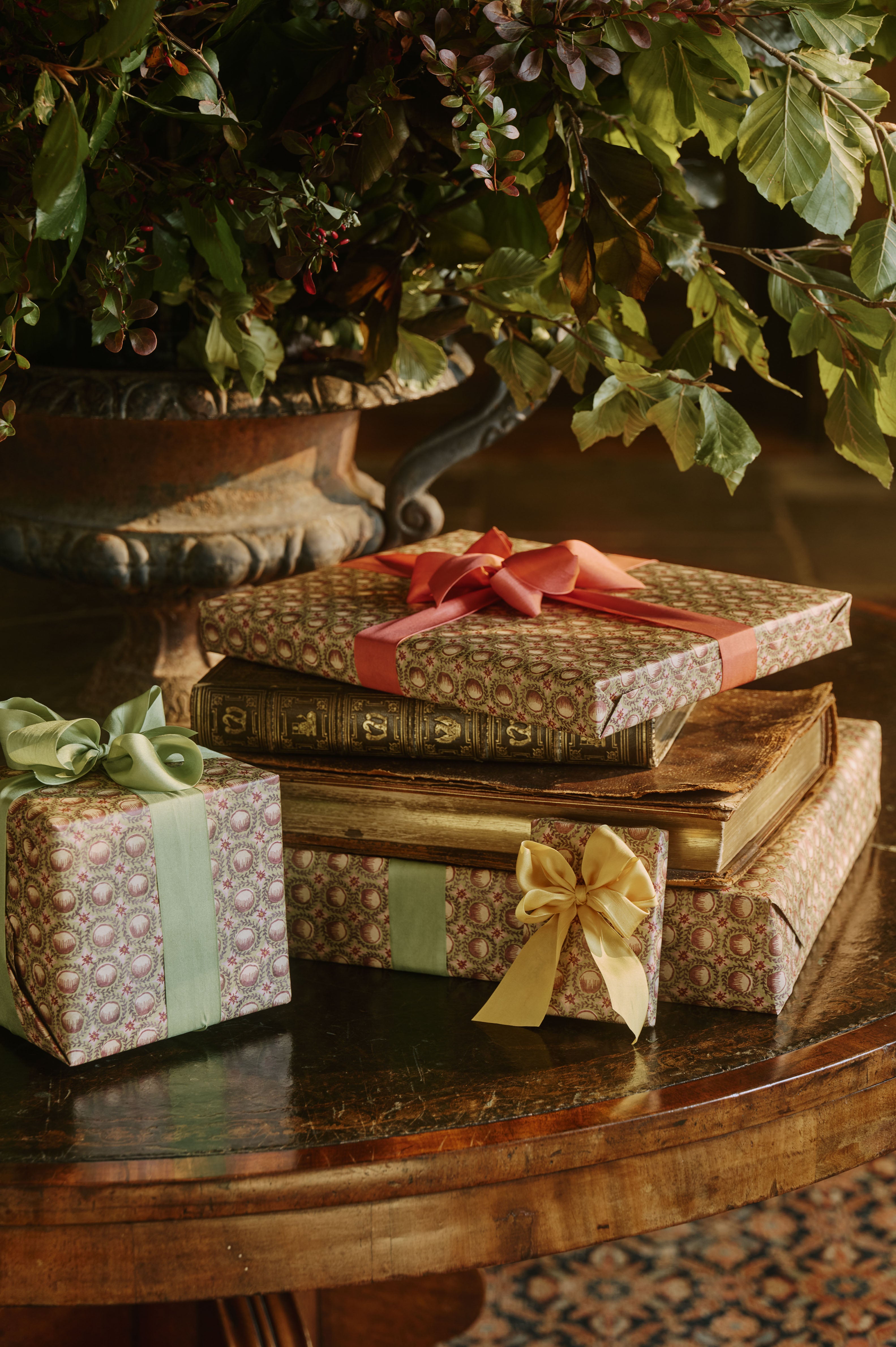 Wrapping Paper Roll: Pudding Fig