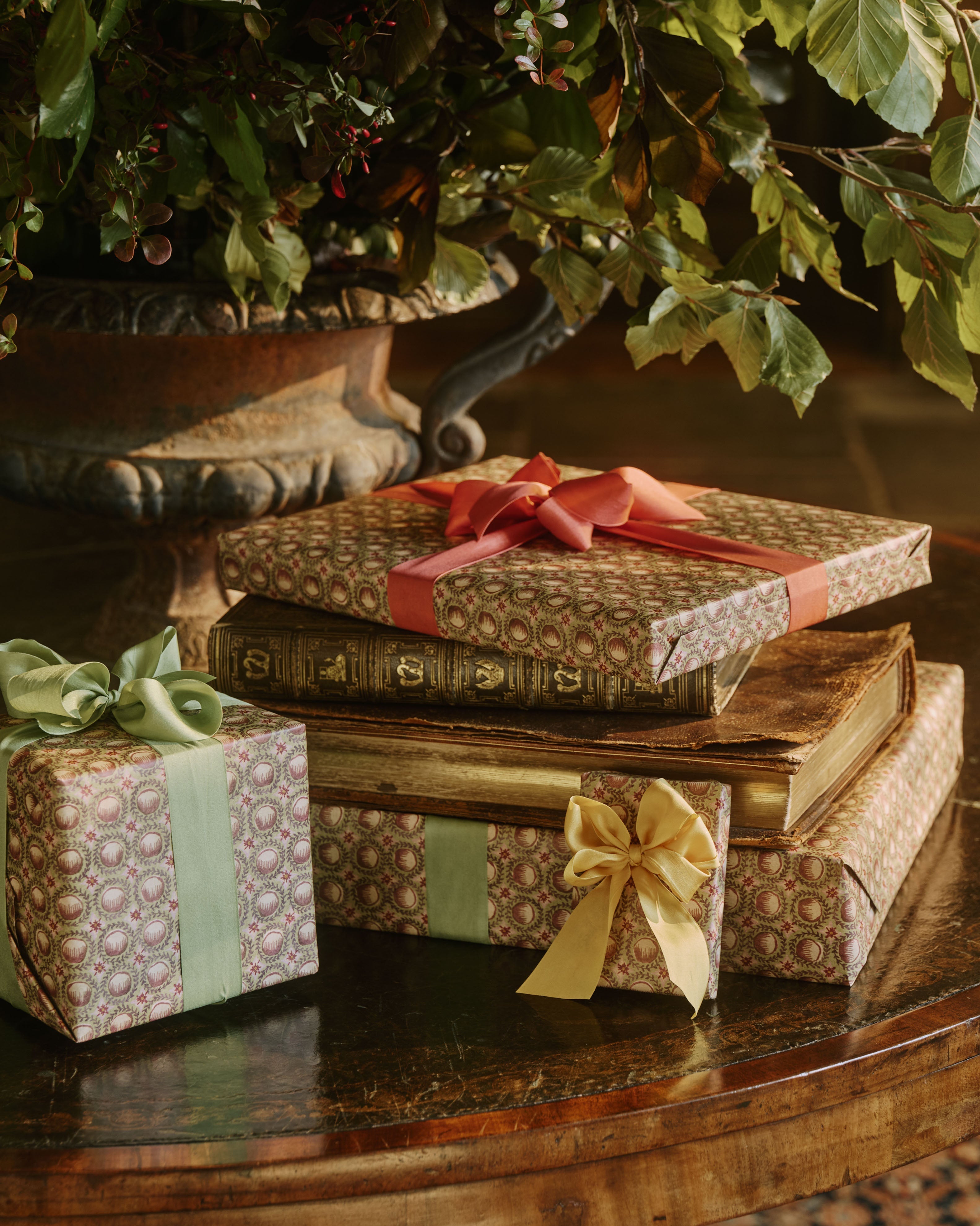 Wrapping Paper Roll: Pudding Fig